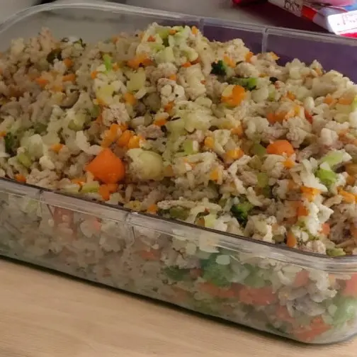 A delectable and wholesome homemade dog food meal prepared with love, featuring ground turkey, rice, and a colorful array of nutrient-packed vegetables.