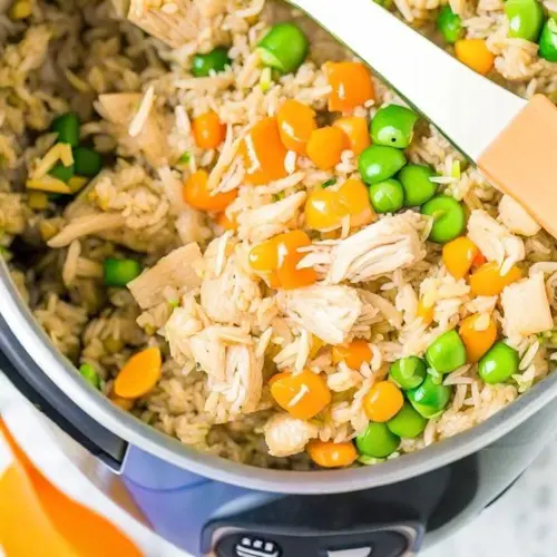 Nourishing Delight: A bowl filled with a wholesome homemade dog food recipe, featuring tender chicken, fluffy brown rice, vibrant vegetables, and sweet potatoes, providing a balanced and flavorful meal for your beloved furry companion.