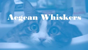 Aegean Whiskers Logo