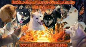 Dakine Shiba Inus Logo