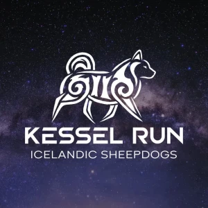 Kessel Run Icelandic Sheepdogs Logo