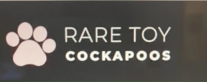 Rare Toy Cockapoos Logo