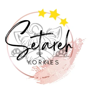SETAREH YORKIES Logo