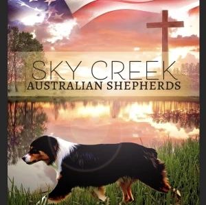 Sky Creek Australian Shepherds Logo