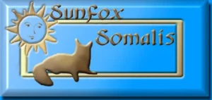 Sunfox Somalis Logo