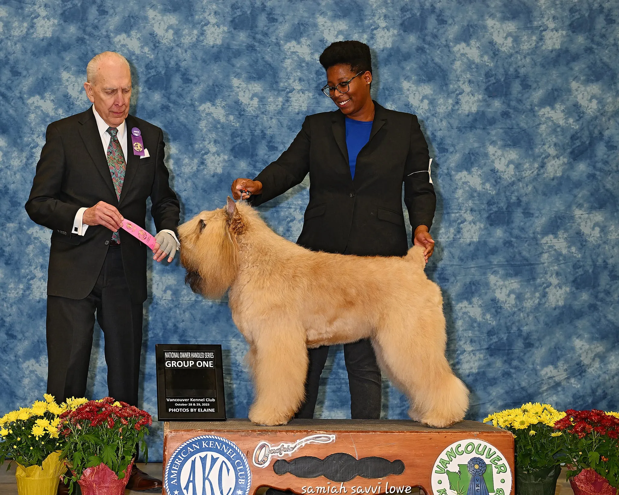 Unleash the true beauty of Bouvier des Flandres in this captivating picture. Posted by Bajoron Bouvier des Flandres.