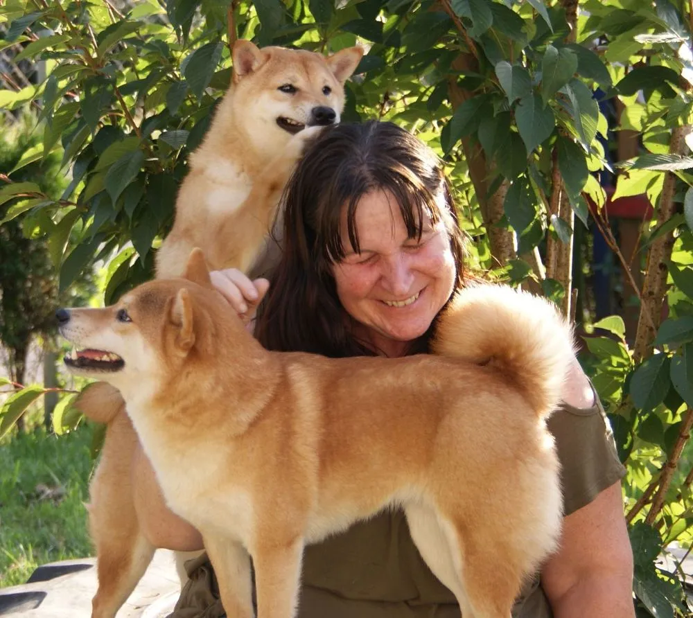 Discover the irresistible charm of Shiba Inu in this endearing snapshot. Posted by Shiba Inu Haven.