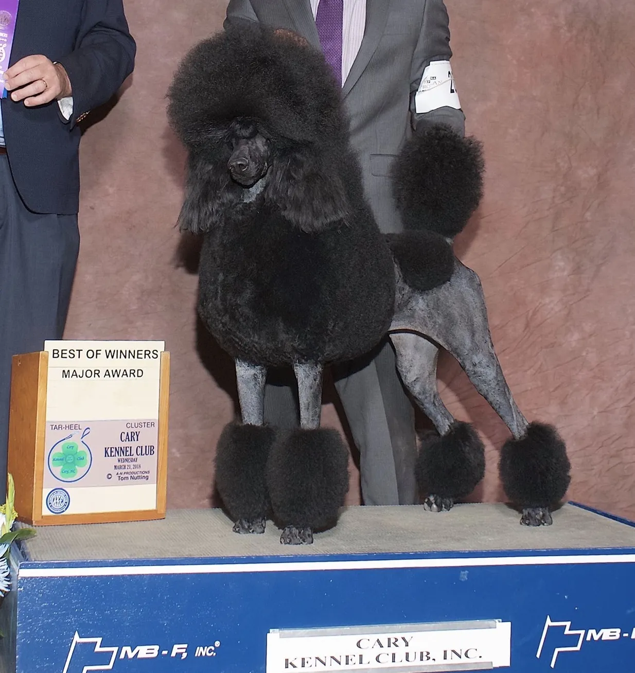 Poodle (Standard) Breeder In Dunbar, PA US Logo