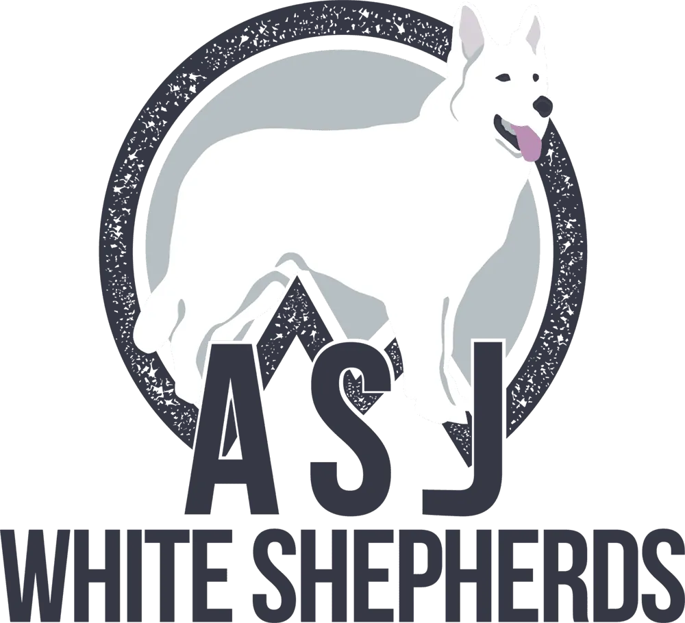 American White Shepherd Breeder In Middletown, CT US Logo