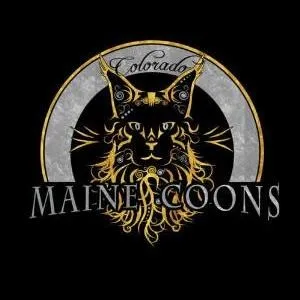 Maine Coon Breeder In Conifer, CO US Logo