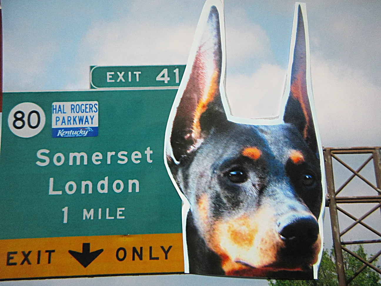 Doberman Pinscher Breeder In London, KY US Logo