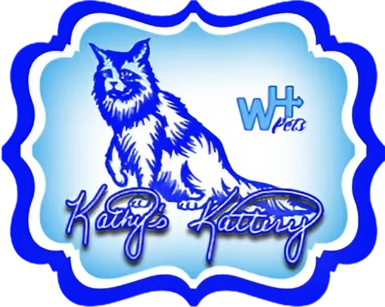 Maine Coon Breeder In Millersburg, OH US Logo