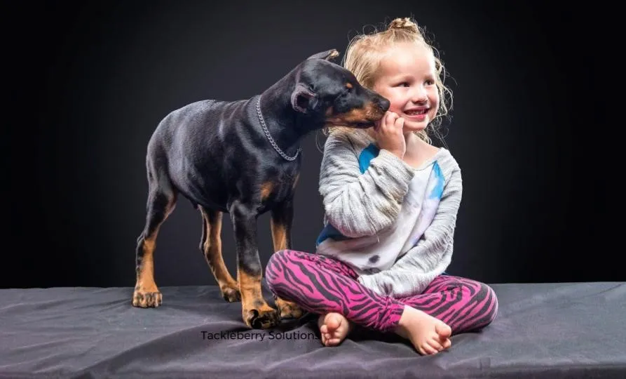 High-quality Doberman Pinscher puppies. Personality Tested. Lifetime Health Guarantee. Exposed to children and cats.