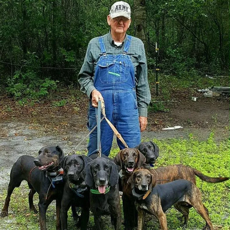 Plott Hound Breeder In Hogansville, GA US Logo