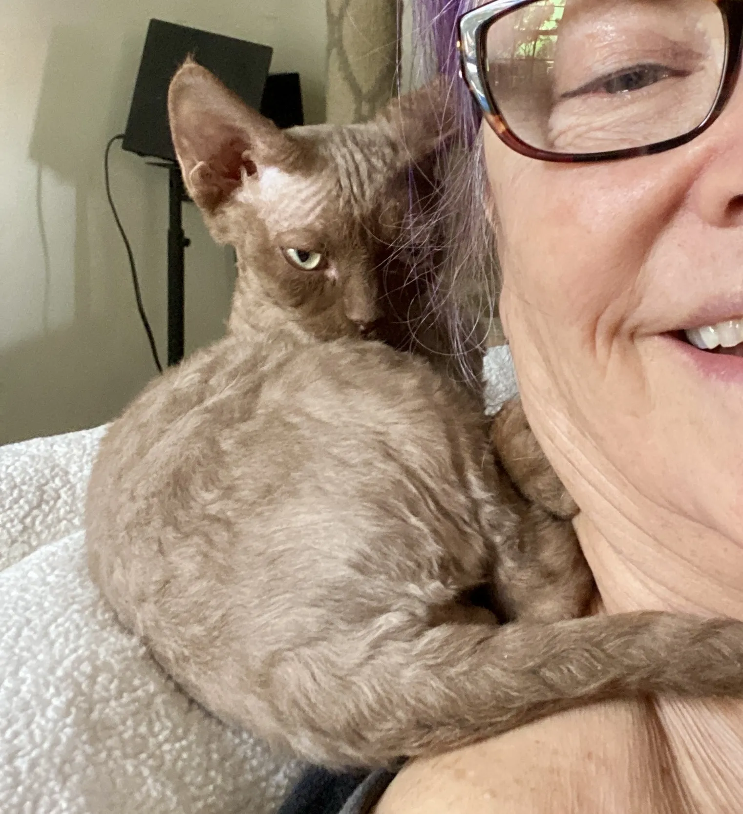 Devon Rex Breeder In Santa Monica, CA US Logo