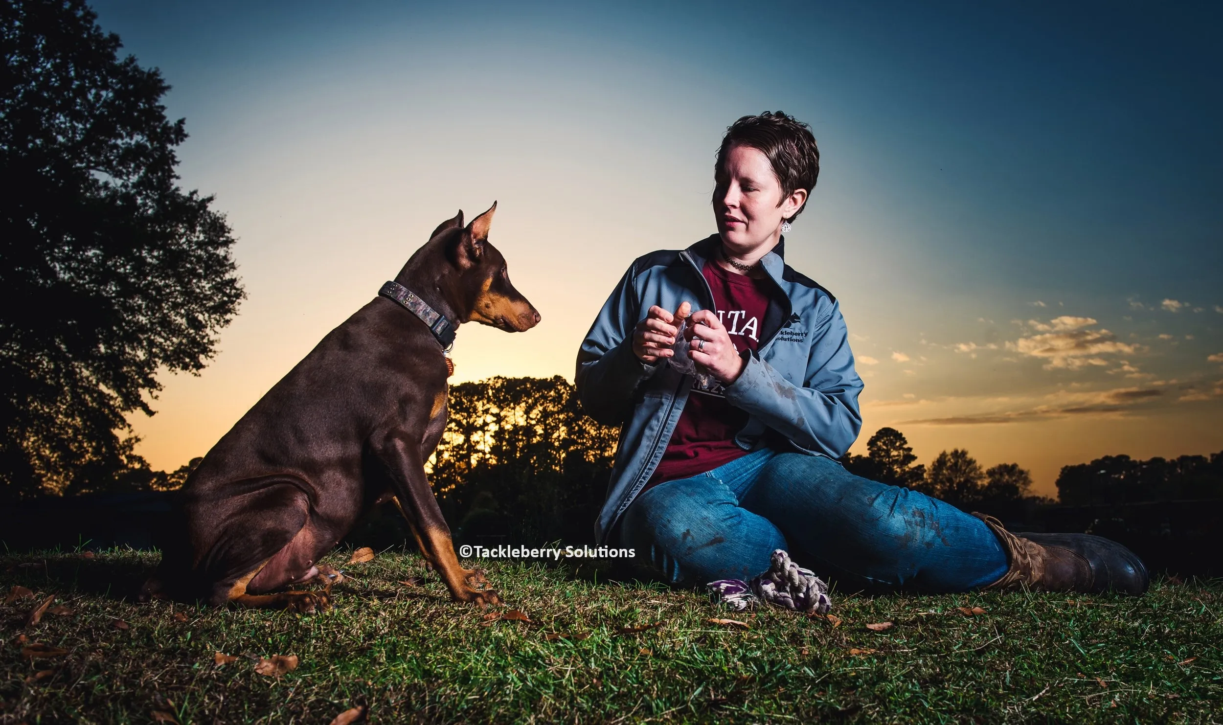 Doberman Pinscher Breeder In Mount Olive, NC US Logo