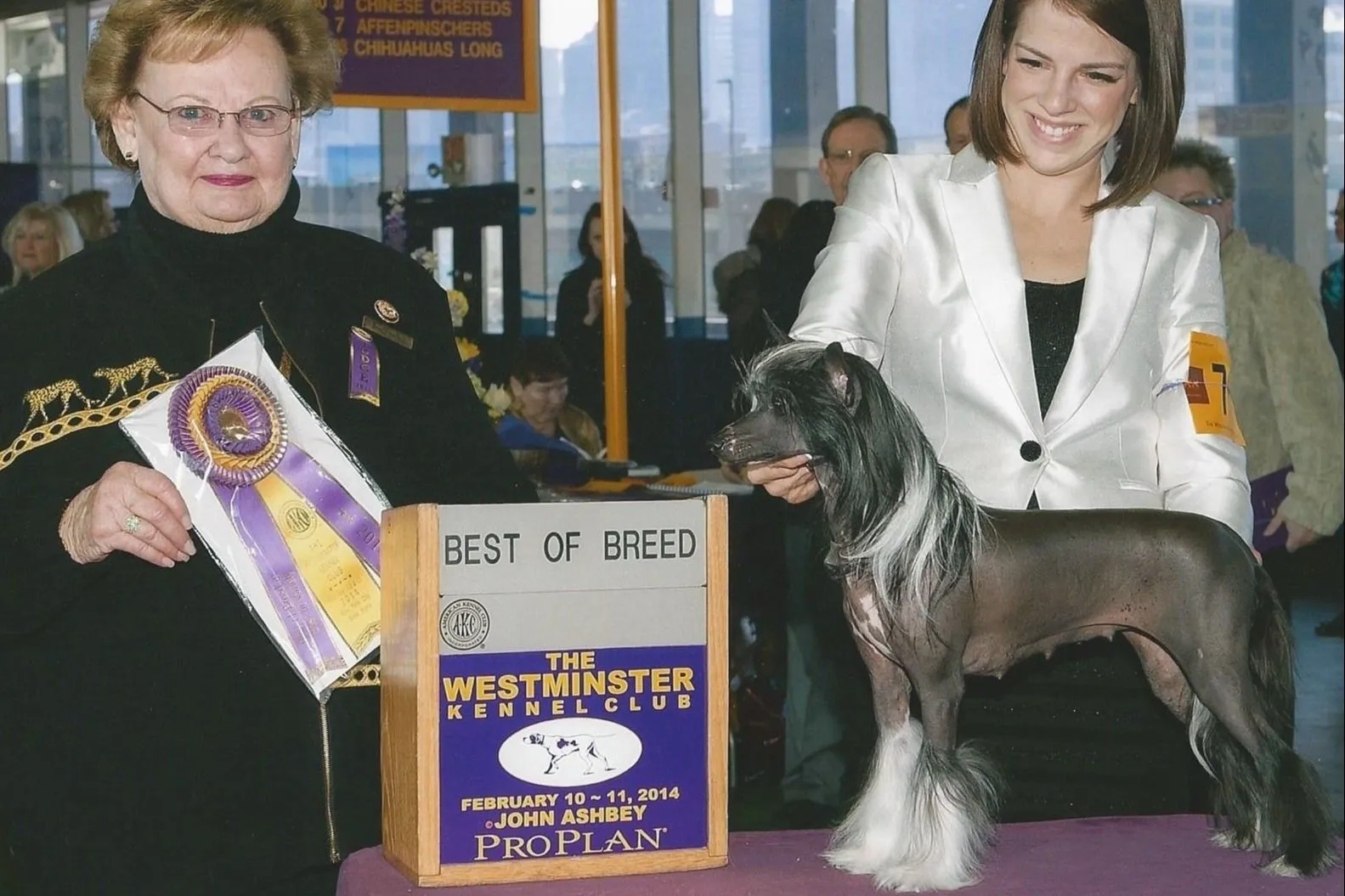 Chinese Crested Breeder In Blaine, WA US Logo