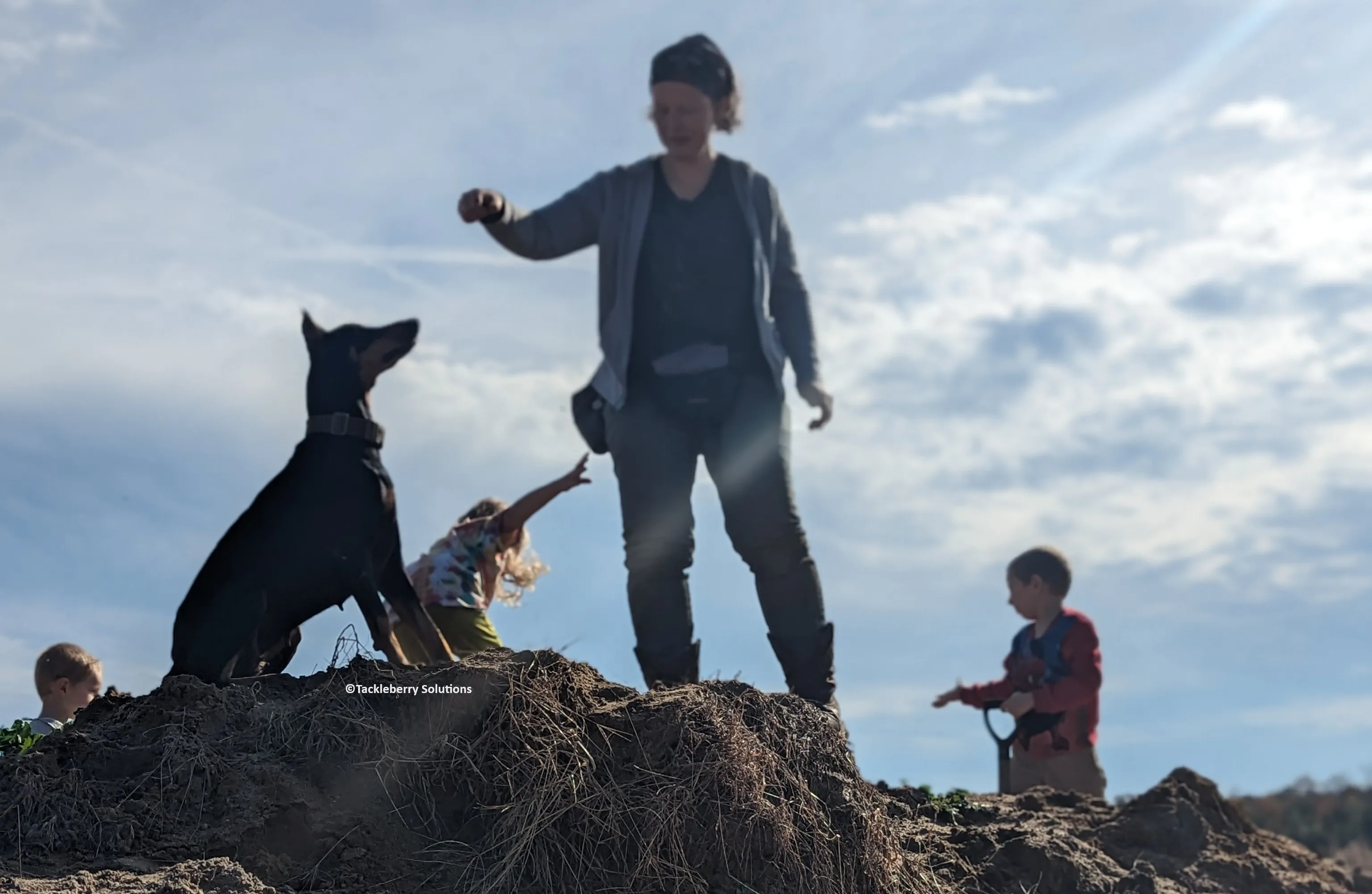 Tackleberry Dobermans: Bred to work