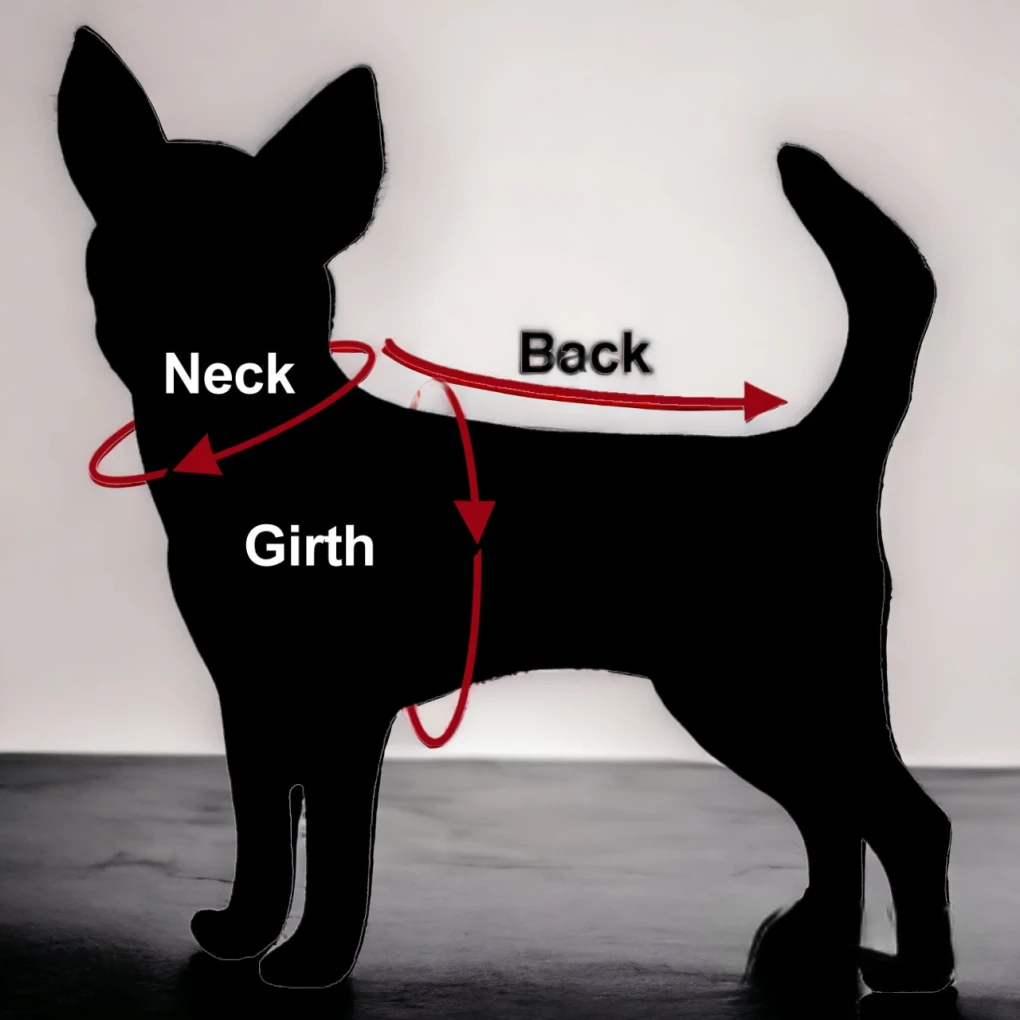 An illustrated guide highlighting the key measurement spots on a dog: the neck, back, and girth/chest. Ensure accurate sizing for your furry friend's clothes and costumes.