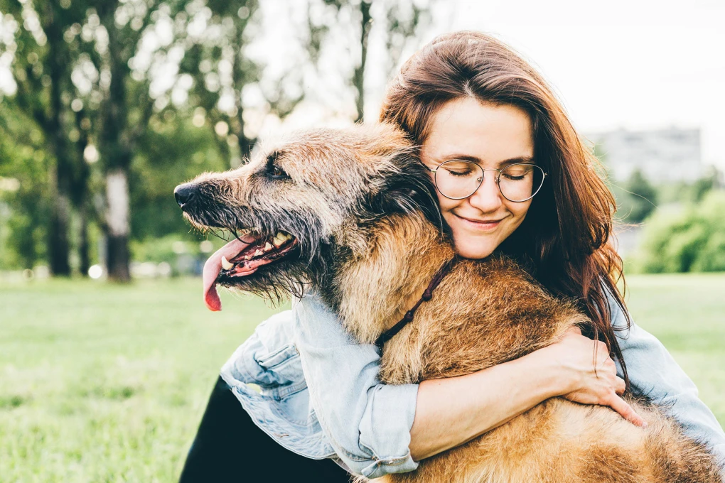 A concerned owner attends to a trembling dog, emphasizing the need to understand and address canine trembles