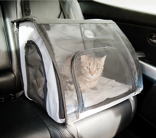 A curious cat enjoying the view from a car carrier, ready for a journey.