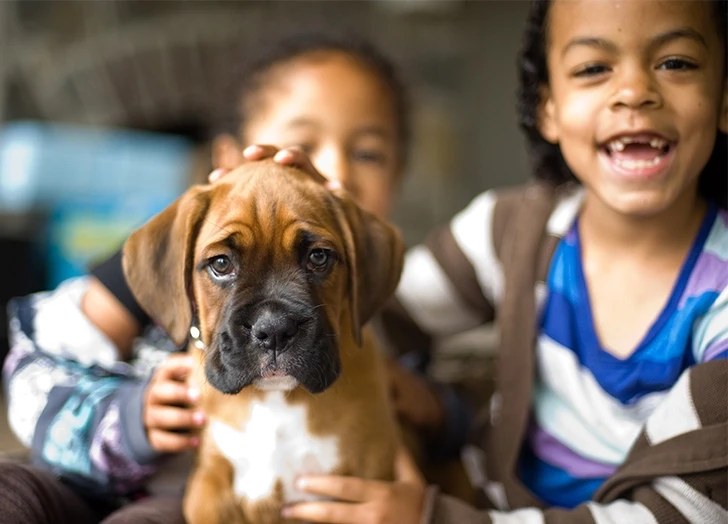 Pure joy! A child's smiling face lights up while lovingly petting their furry best friend, highlighting the special bond between kids and dogs.