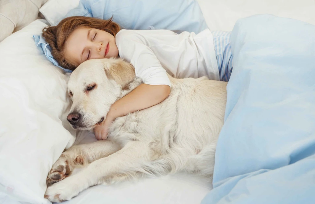 Unbreakable Bonds: A heartwarming moment as a child finds solace and love in the warm embrace of her beloved canine companion.